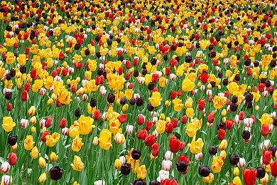 《刺客信条：幻景》试玩开启 免费领全新艾沃尔装扮