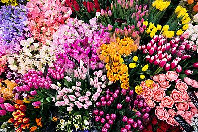 《彩虹六号：异种》PC预告片展示4K DLSS实机内容